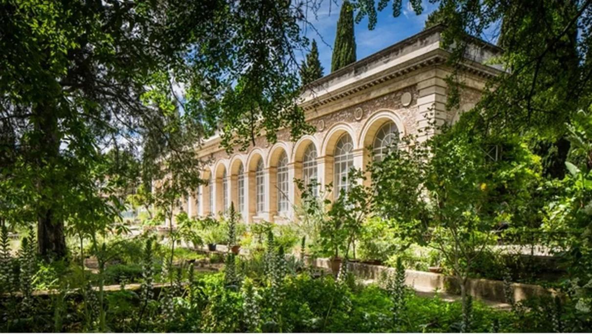 Place De La Comedie - Magnifique T2 Au Calme Montpellier Exterior foto